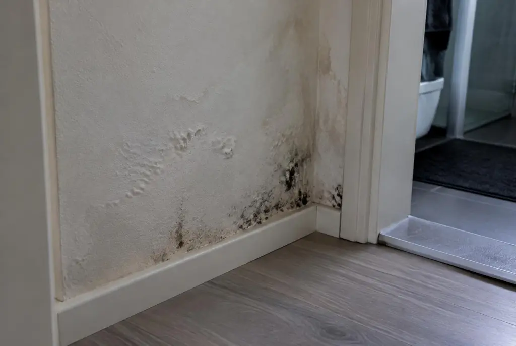Lekdetectie Ermelo – vochtplek met schimmel op een muur